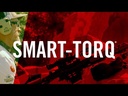 Real Avid Smart TORQ