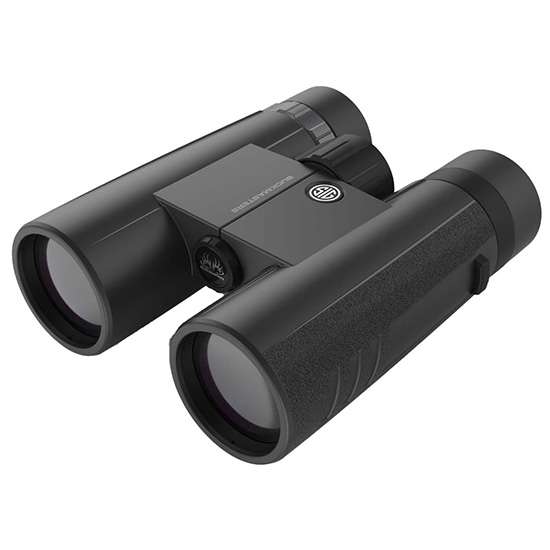 Sig Sauer BuckMasters Binoculars 10X42, Black